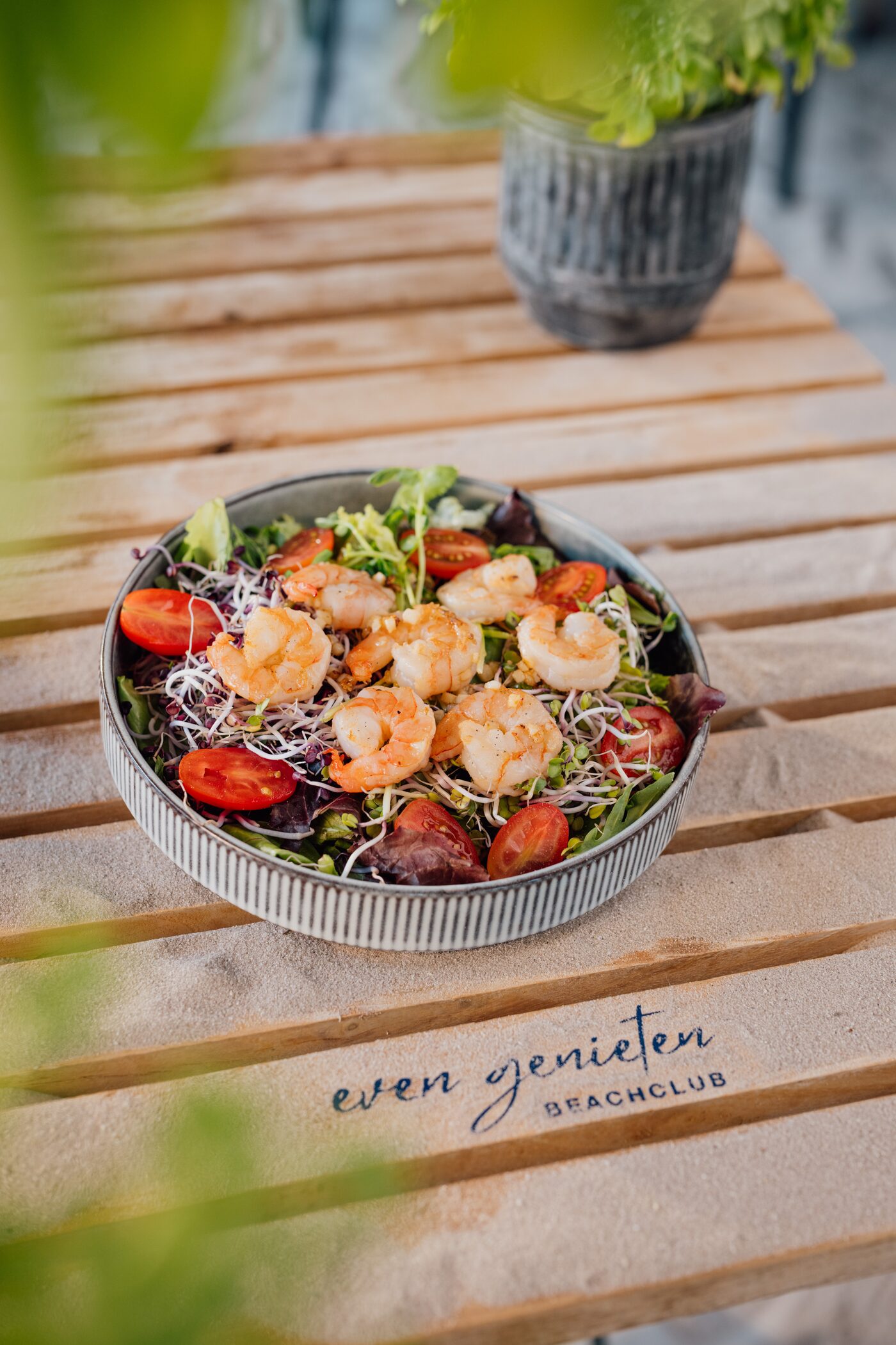 Garnelensalat mit Tomaten und Sprossen auf gebrandetem Holzbrett